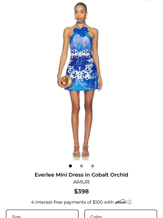 AMUR Dresses & Skirts - AMUR Everlee mini floral dress